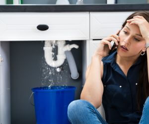 About Emergency plumbing pros Castle Creek, NY